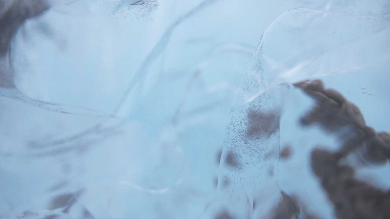 Image from "Unfreezing the landscape", project by Monica Ursina Jäger and Lena Bakker